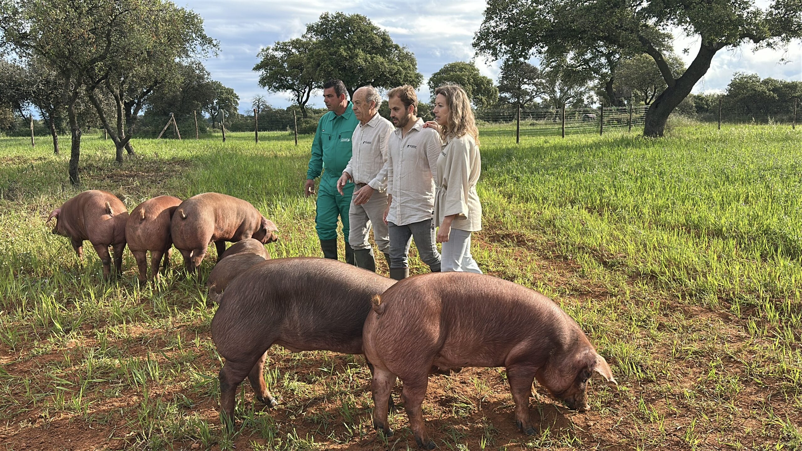 Las ganaderías familiares en España: el corazón que mantiene vivo el mundo rural 1 20250501 072314836 iOS scaled
