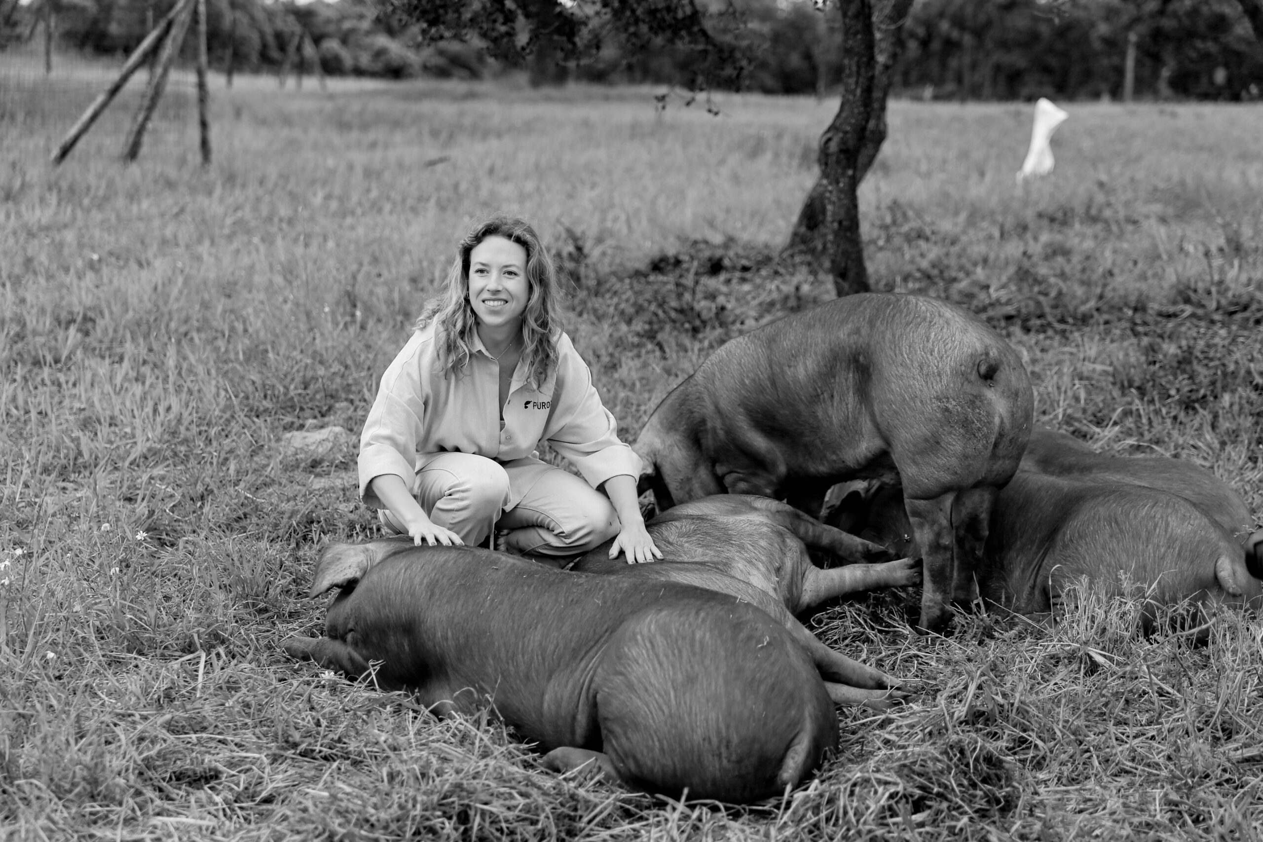 De la granja a la mesa: el ciclo de vida del cerdo Duroc 100% en PUROC 1 MG 4811 scaled
